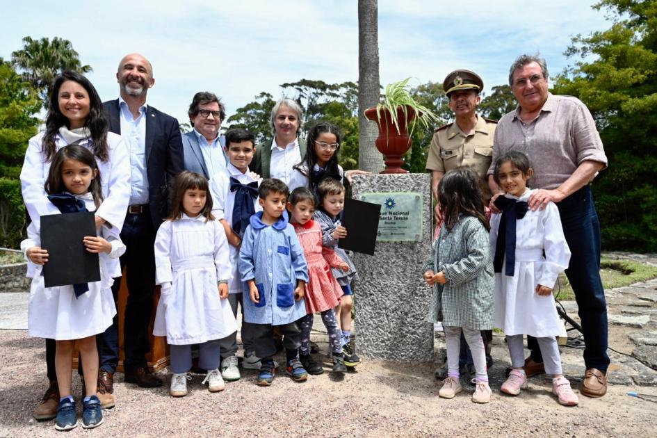 placa placa