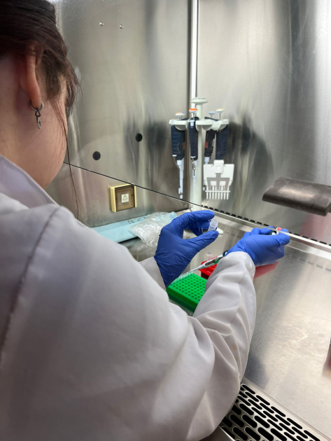 Estudiante participante del programa en el laboratorio. Estudiante participante del programa en el laboratorio.