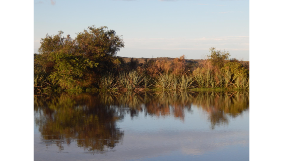 Tajamar que fue parte del estudio