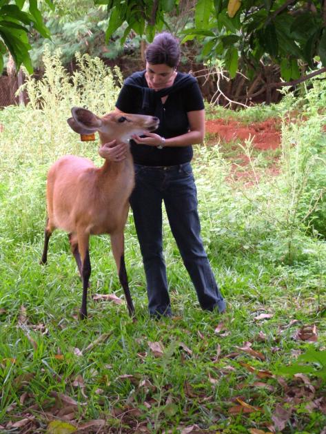 Susana González junto a una hembra de ciervo de los pantanos, en el NUPECCE, UNESP.