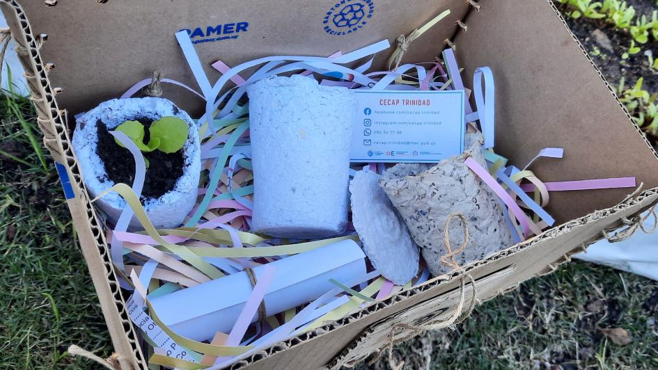 "Recybox", un viaje de sostenibilidad y creatividad Caja que contiene residuos de papel y cartón