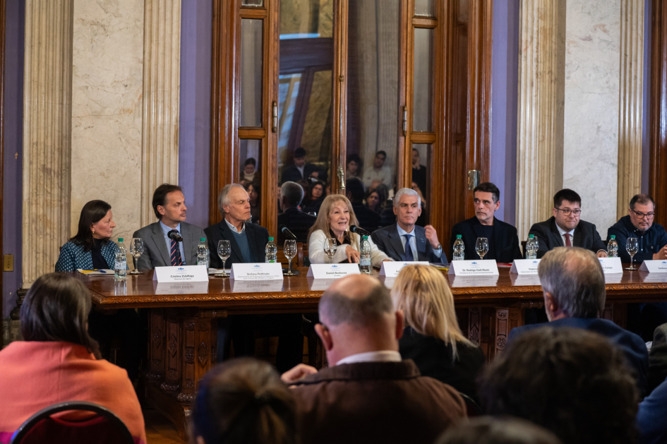 Lanzamiento de la consulta pública, en el Parlamento.
