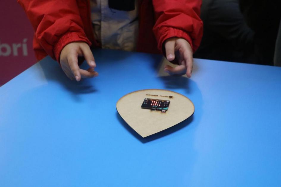 Manos de un niño por agarrar una placa Manos de un niño por agarrar una placa