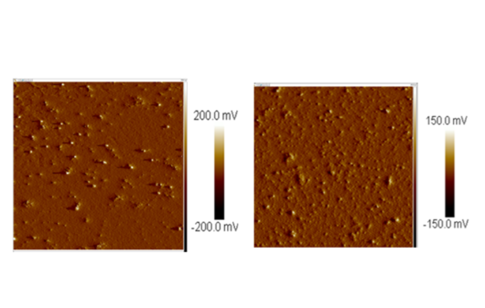 Imágenes de microscopía de fuerza atómica (AFM) de nanopartículas de carbón (NPs de carbón).