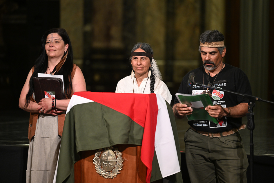 Colectivos, clanes, organizaciones y comunidades del pueblo indígena