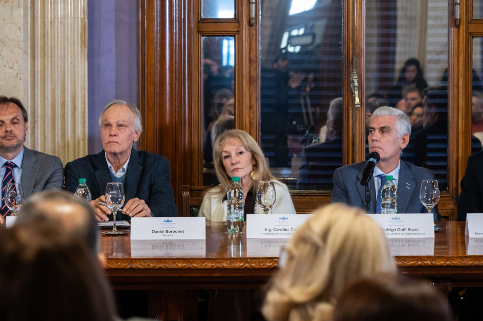 Lanzamiento de la consulta pública, en el Parlamento.