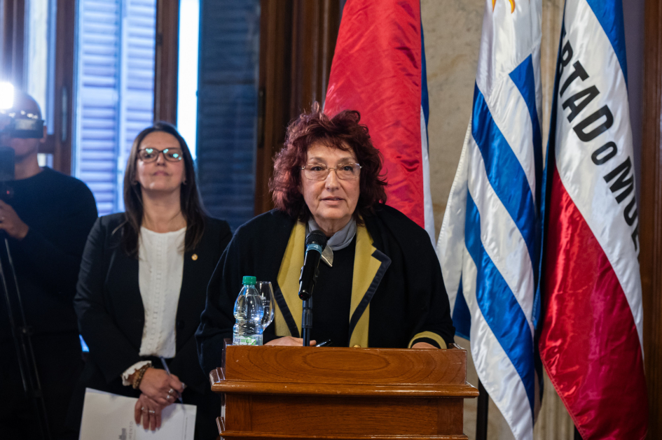 Lanzamiento de la consulta pública, en el Parlamento.