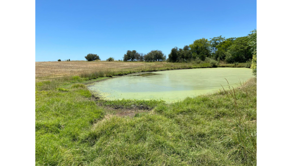 Tajamar que fue parte del estudio