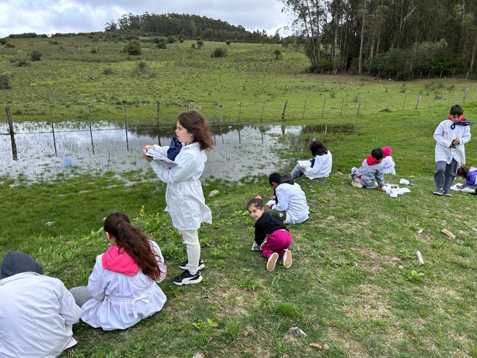 Ilustración realizada por las niñas y niños de la escuelas rurales 47, 74 y 31 al Oeste de Maldonado 