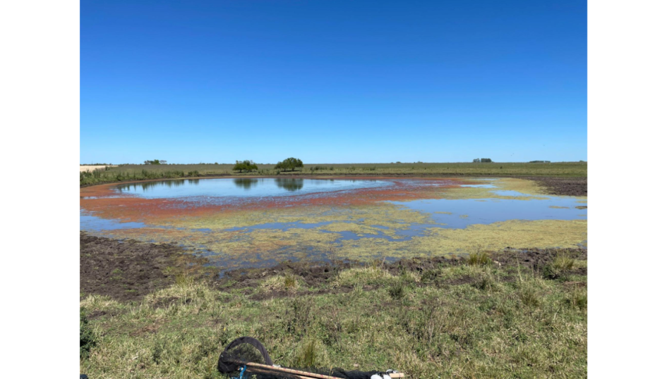 Tajamar que fue parte del estudio