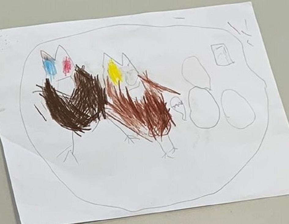 6