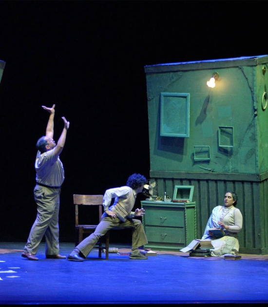 10ª edición Festival Internacional de Artes Escénicas (FIDAE)