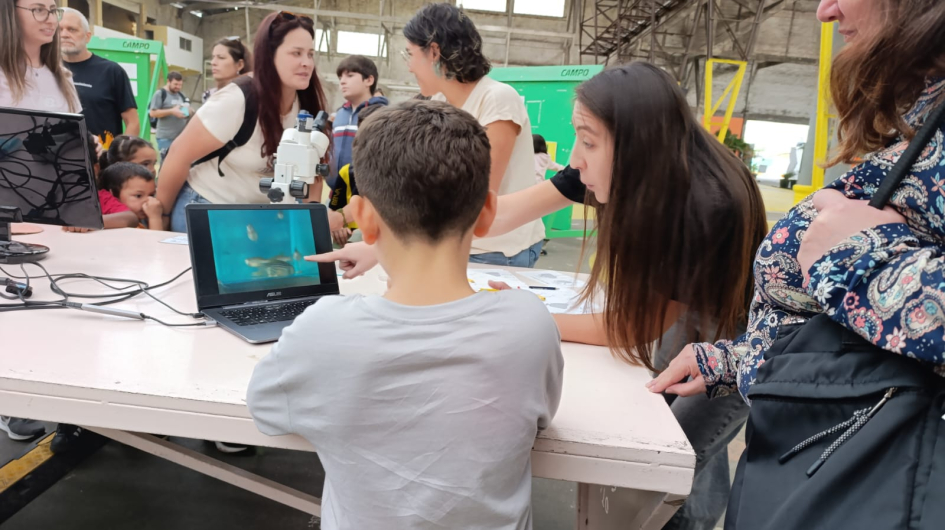 Analizando la conducta de animales de laboratorio