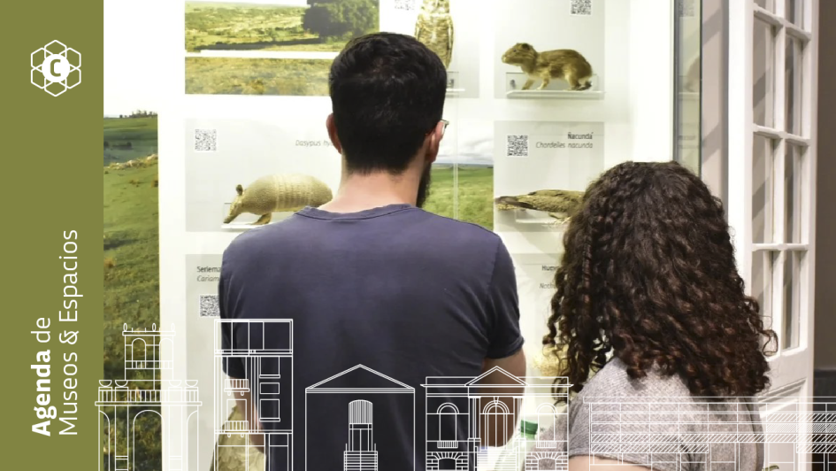 Actividades de Museos MEC del 17 al 23 de febrero 2025 Actividades de Museos MEC del 17 al 23 de febrero 2025