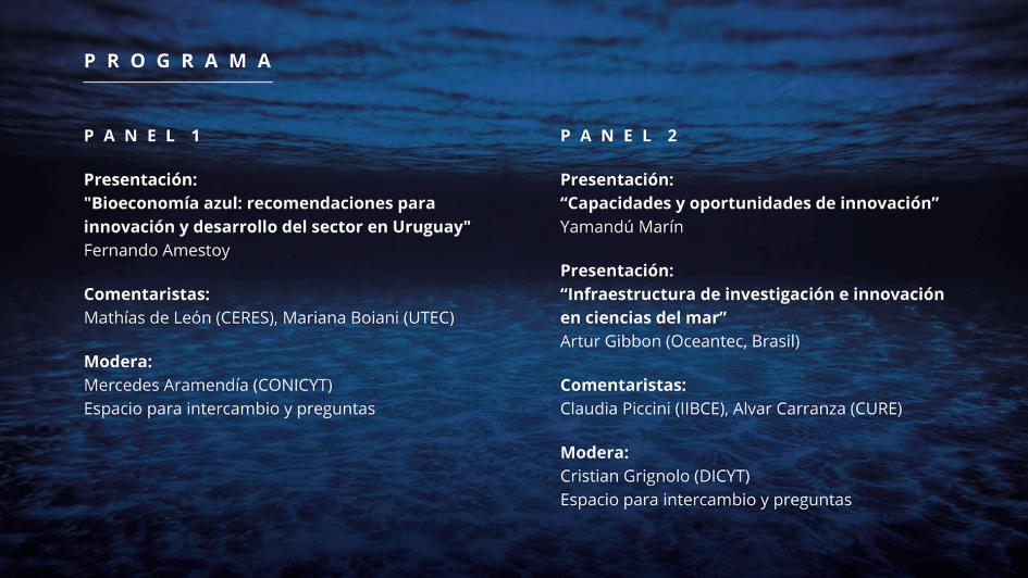 Programa Conversatorio Agenda en I+D+i en Bioeconomía Azul Programa Conversatorio Agenda en I+D+i en Bioeconomía Azul