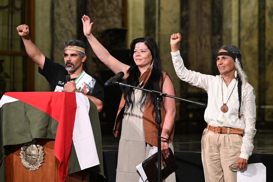 Colectivos CONACHA. Palacio Legislativo