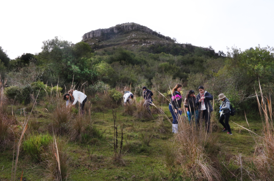 Equipo de la salida de campo muestreando en el Cerro Miriñaque, Rivera. Foto de Marcelo Casacuberta