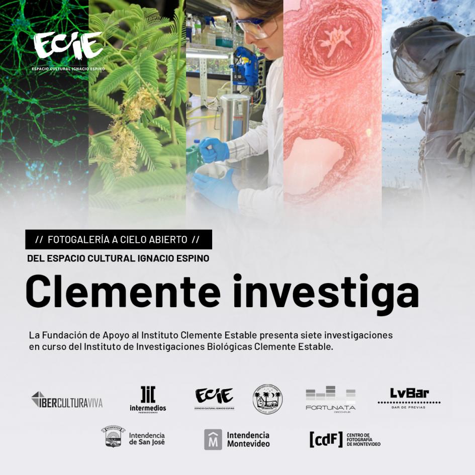 Gráfica de la expo. Clemente Investiga en el Espacio Cultural Ignacio Espino de San José