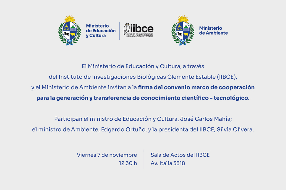 Gráfica promocional Gráfica promocional