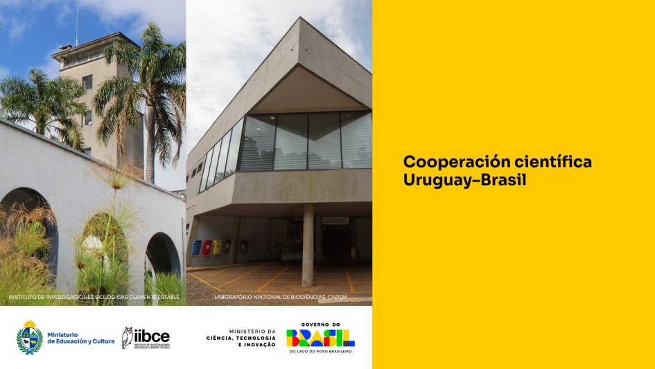 Cooperación científica Uruguay-Brasil