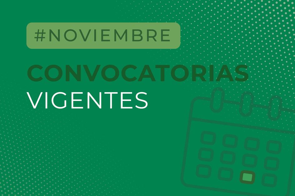 Convocatorias noviembre. Convocatorias noviembre.