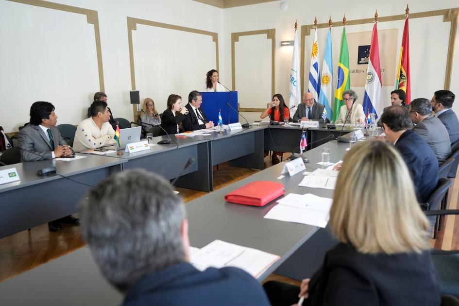 LII Reunión de Ministros de Cultura