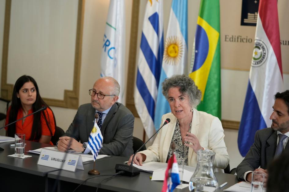 LII Reunión de Ministros de Cultura