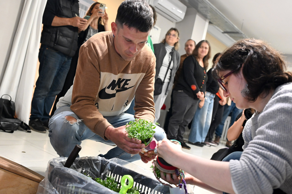 Personas plantando una planta