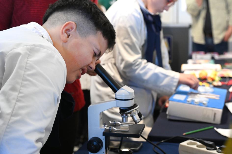 Niño escolar mirando a través de un microscopio