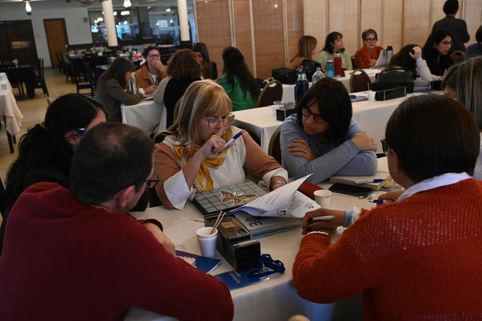 PFD-CFE en Minas
