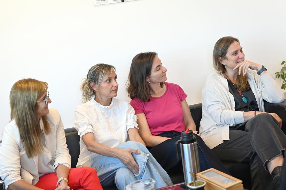Reuniones institucionales equipo DNE