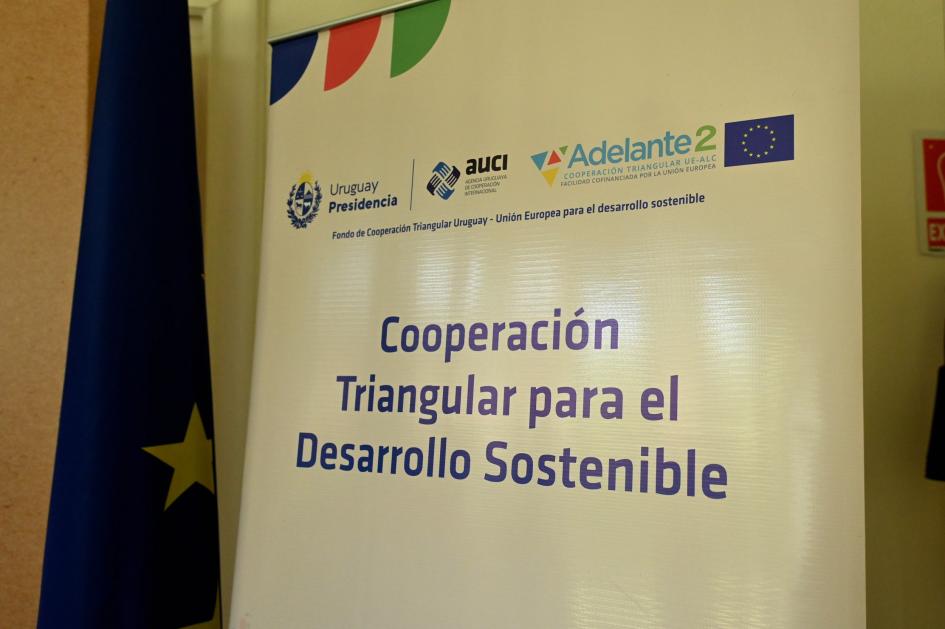 DNE lanza junto a AUCI y Unión Europea proyecto de cooperación triangular DNE lanza junto a AUCI y Unión Europea proyecto de cooperación triangular