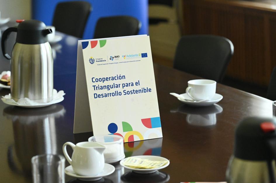 DNE lanza junto a AUCI y Unión Europea proyecto de cooperación triangular DNE lanza junto a AUCI y Unión Europea proyecto de cooperación triangular