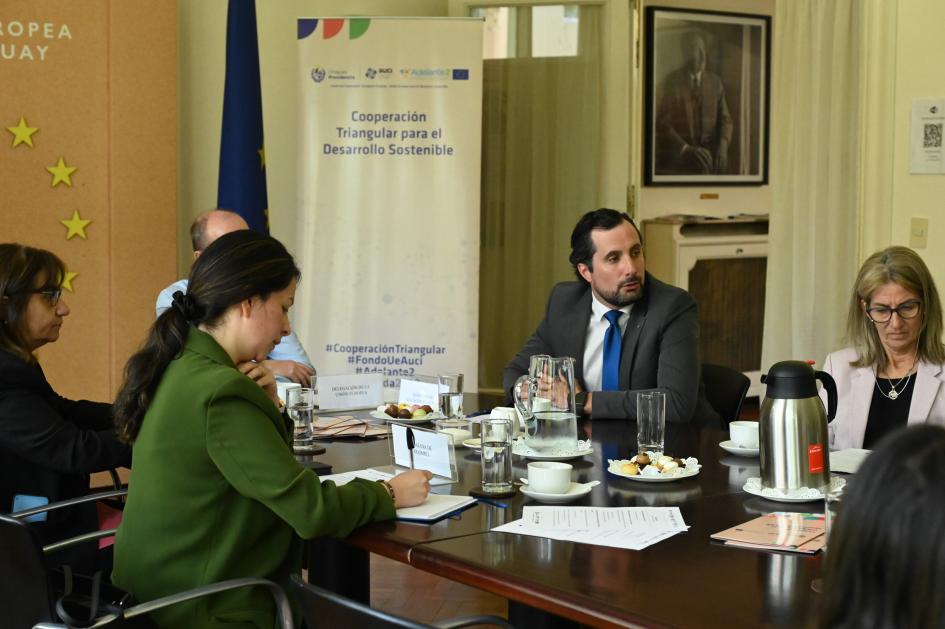 DNE lanza junto a AUCI y Unión Europea proyecto de cooperación triangular DNE lanza junto a AUCI y Unión Europea proyecto de cooperación triangular