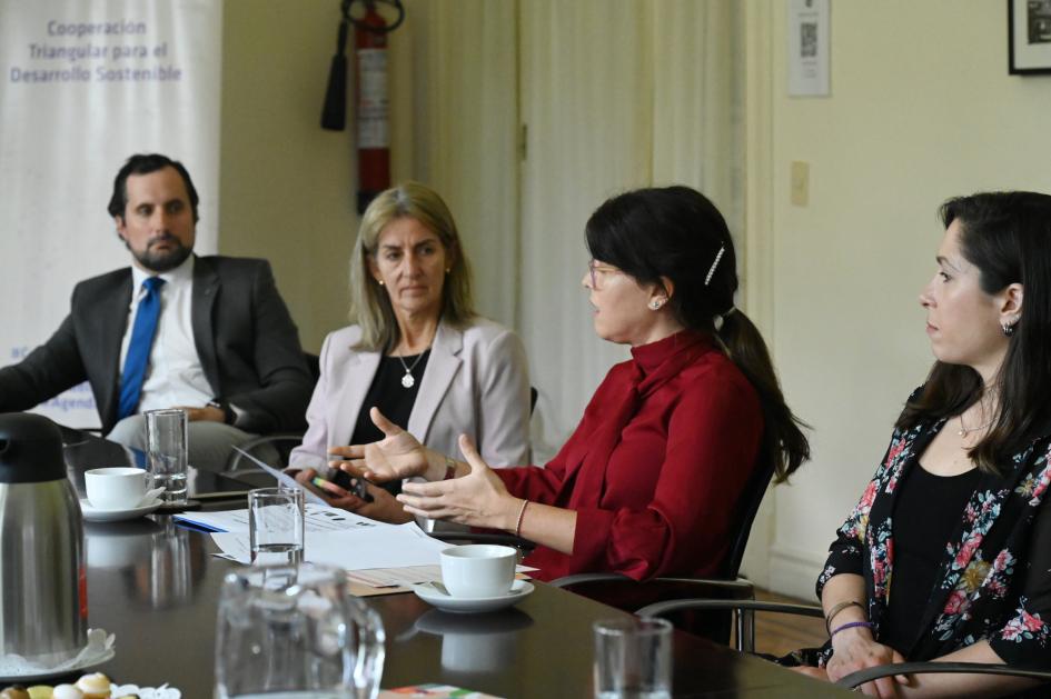 DNE lanza junto a AUCI y Unión Europea proyecto de cooperación triangular DNE lanza junto a AUCI y Unión Europea proyecto de cooperación triangular