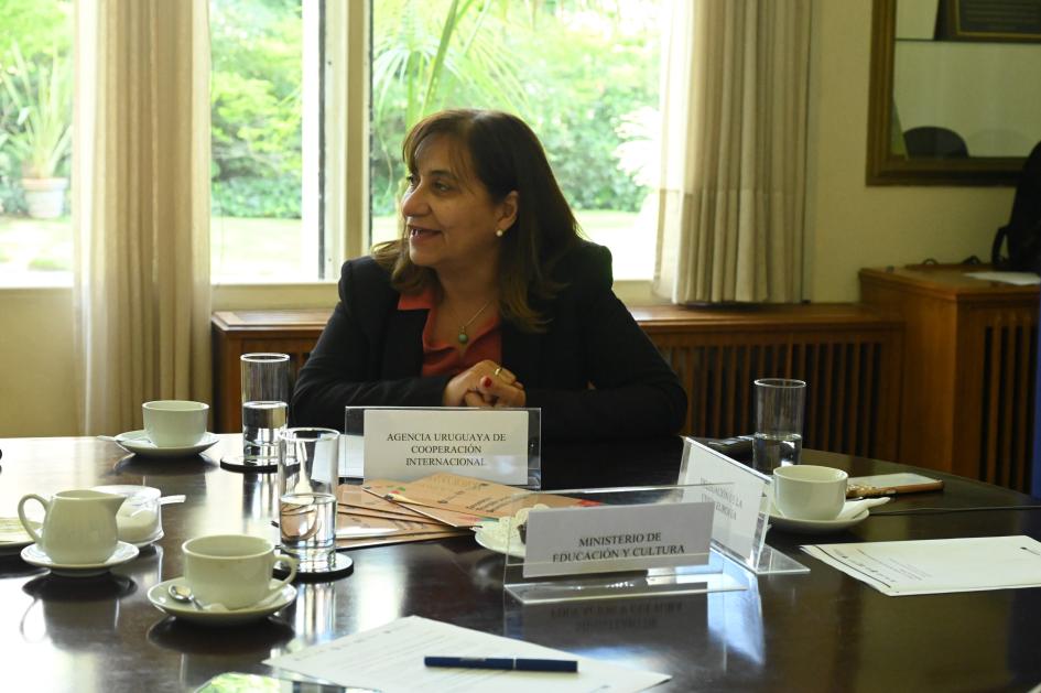 DNE lanza junto a AUCI y Unión Europea proyecto de cooperación triangular DNE lanza junto a AUCI y Unión Europea proyecto de cooperación triangular