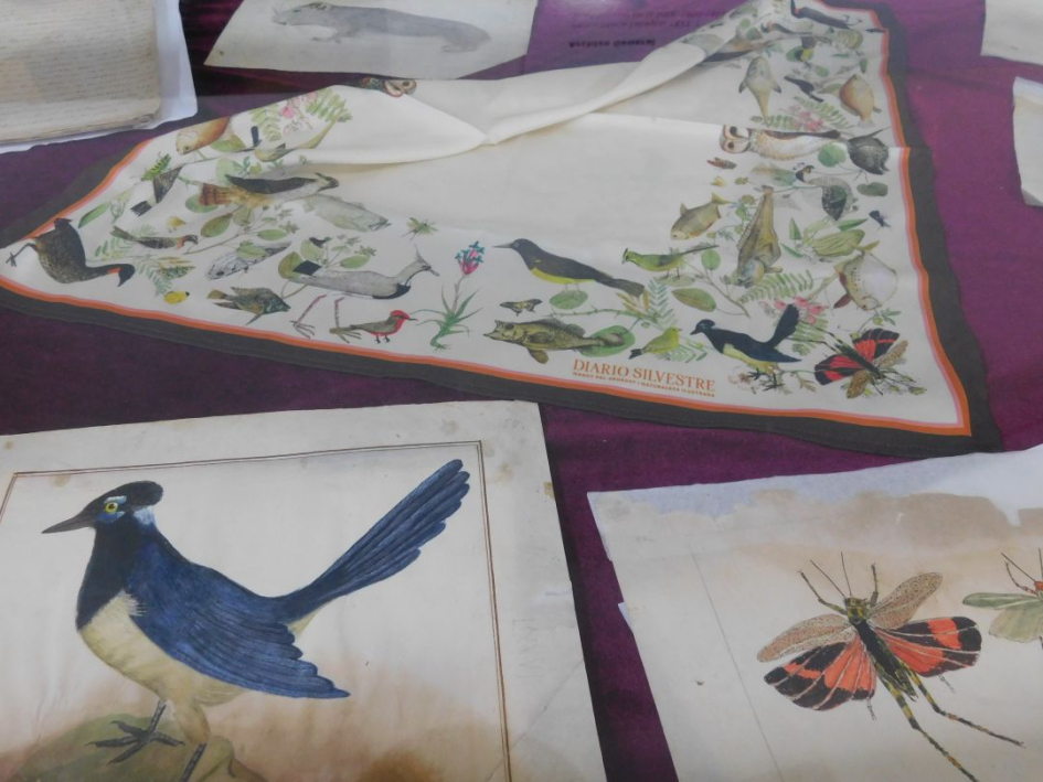 Algunos dibujos originales
