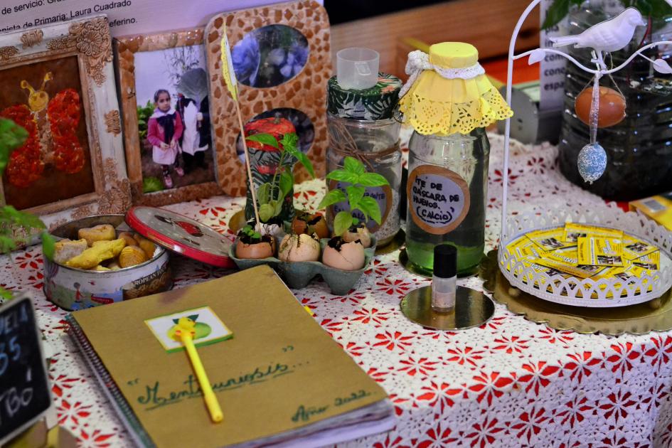 Stand con plantas en macetas hechas con cáscara de huevo