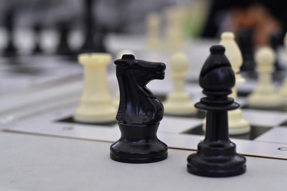 Piezas de ajedrez: caballo y alfil