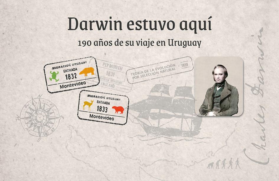 Darwin estuvo aquí Gráfica