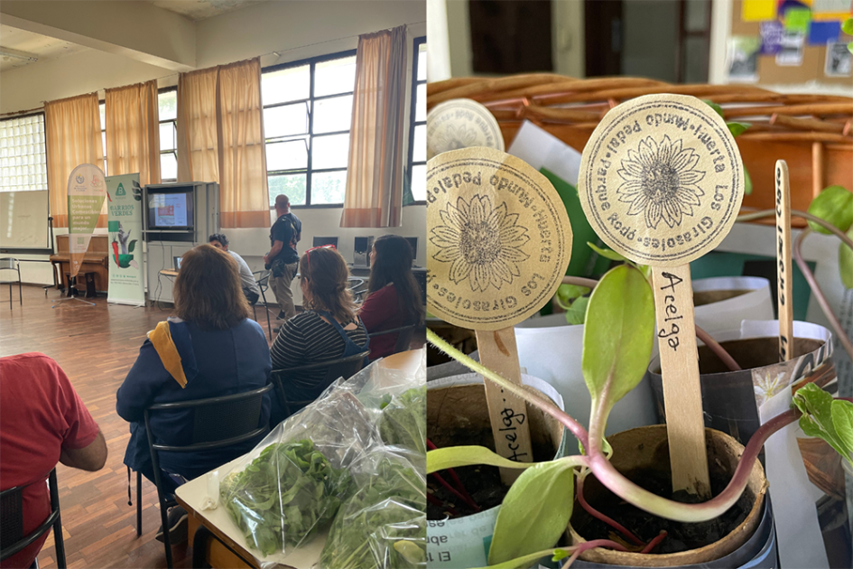 Imagen de la charla realizada en el Liceo Zorrilla, e imagen de plantines de acelga 