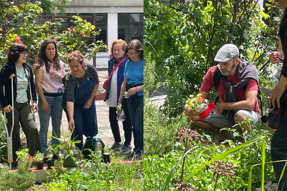 Imagen de participantes intercambiando plantines en la huerta del Liceo Zorrilla 