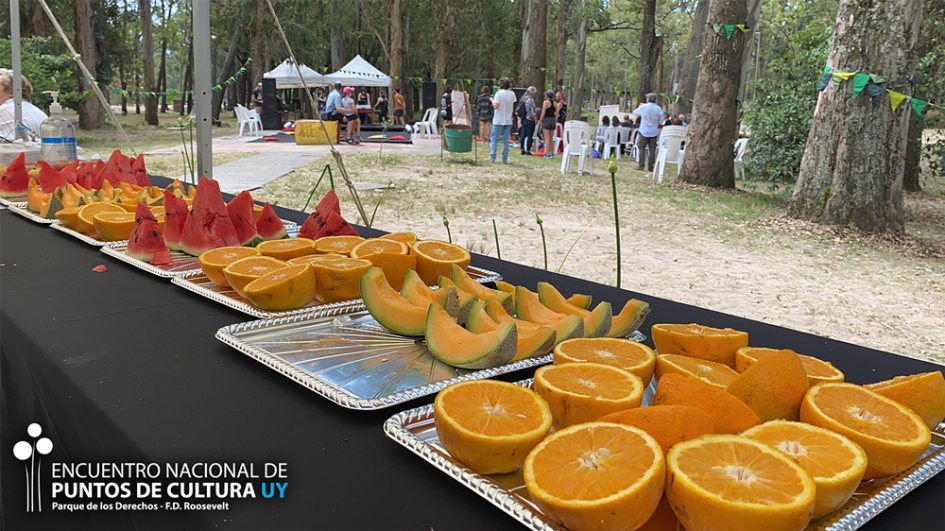 Encuentro nacional de Puntos de Cultura en el Parque Roosevelt Encuentro nacional de Puntos de Cultura en el Parque Roosevelt