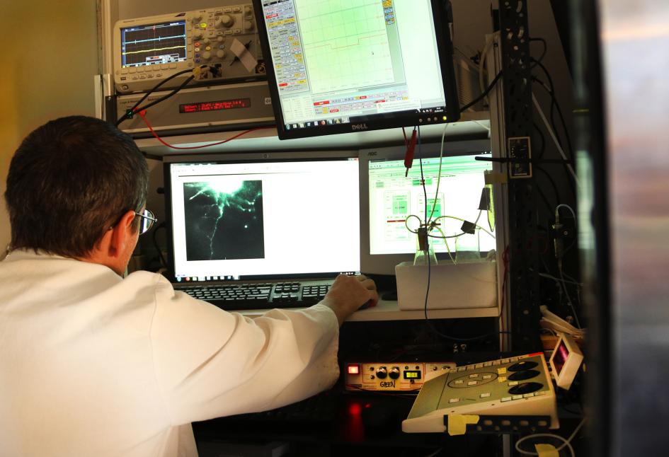 Federico Trigo en su laboratorio del IIBCE, investigando las neuronas.