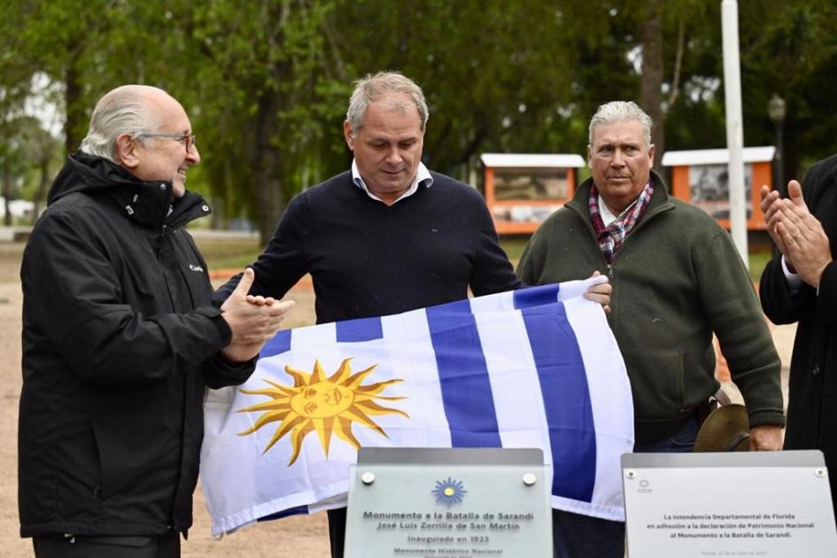 placa placa