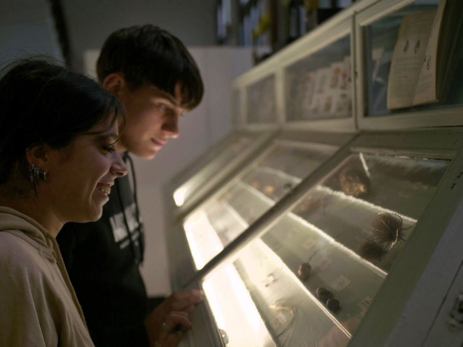 Jóvenes mirando una vitrina en el Liceo IAVA