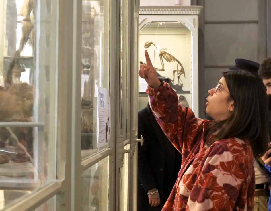Jóvenes mirando una exposición