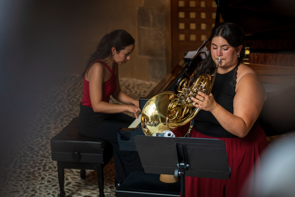 Artistas en vivo