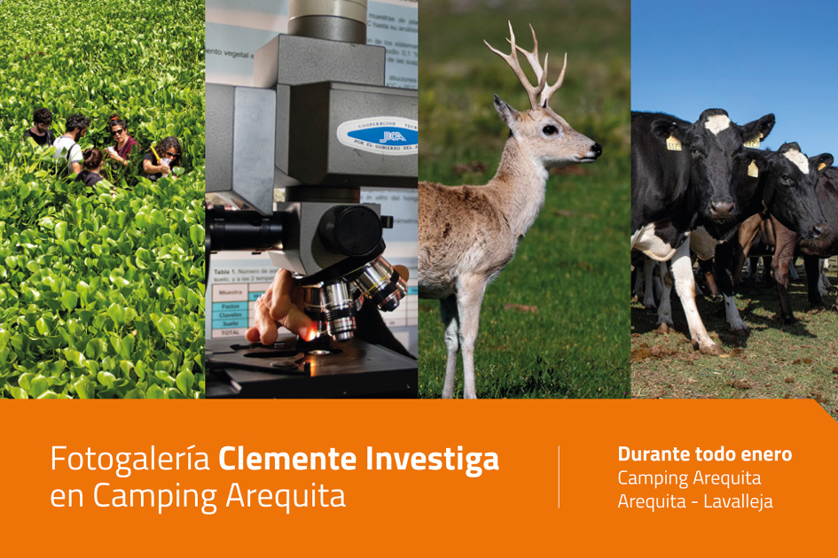 Imagen promocional de la Fotogalería