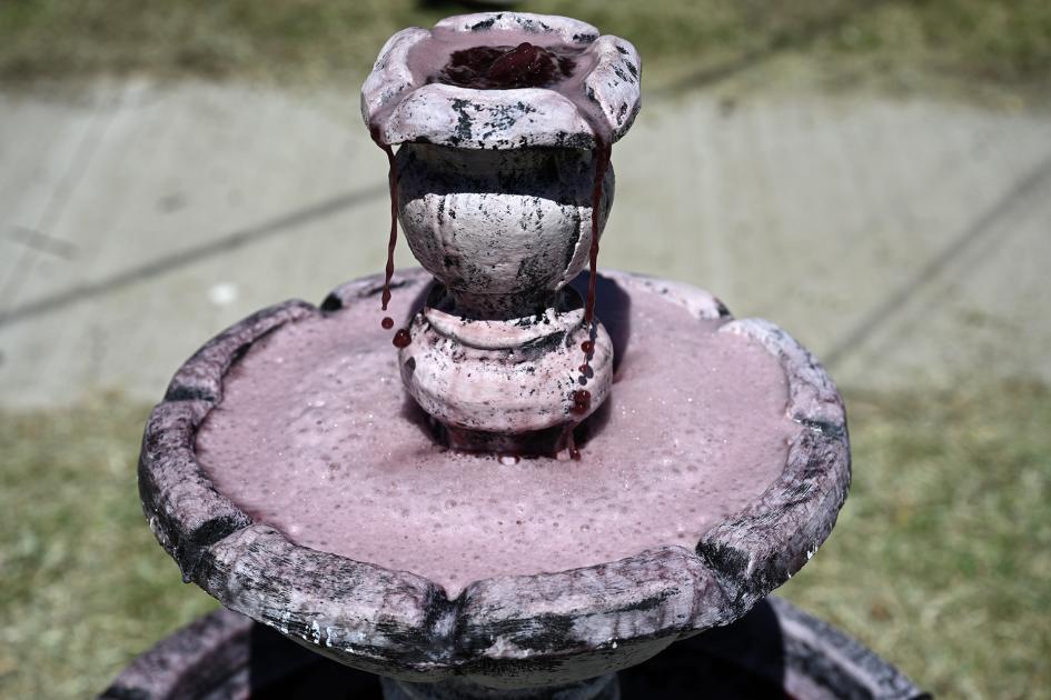 Fuente de Vino, Agronomia